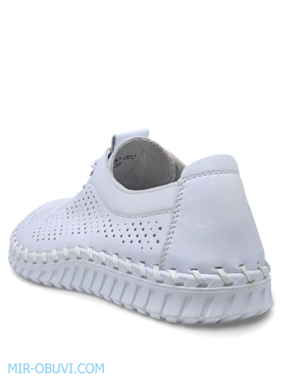 Ƴ���� ������� �������� Wollen. ��� 10.