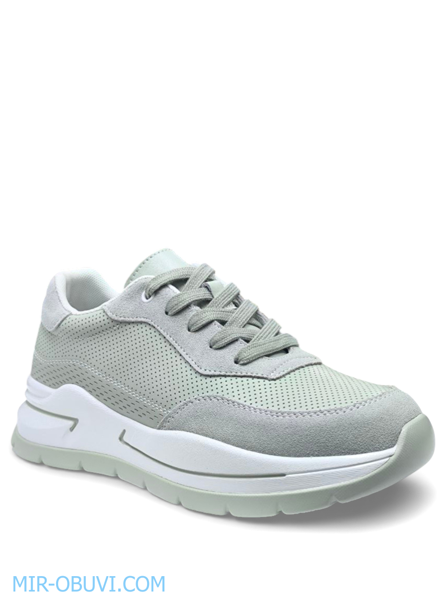 Ƴ���� ������� ������� Wollen. ��� 1.