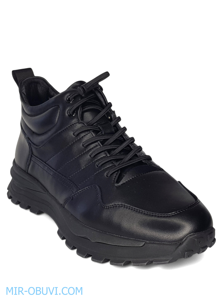 ������� ����� ������� Wollen. ��� 12.