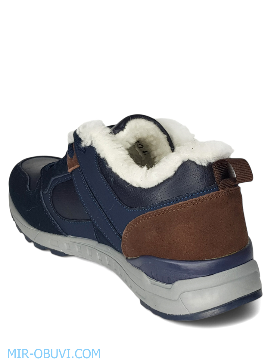 ������� ����� ������� Wollen. ��� 11.