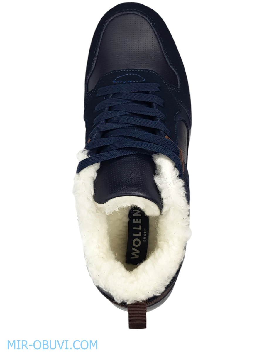 ������� ����� ������� Wollen. ��� 6.