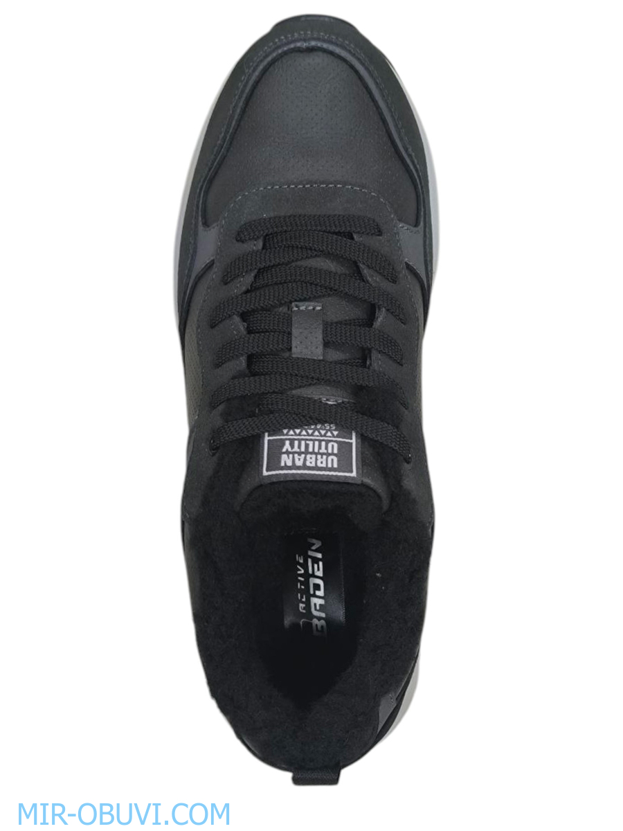 ������� ����� ������� Baden. ��� 6.