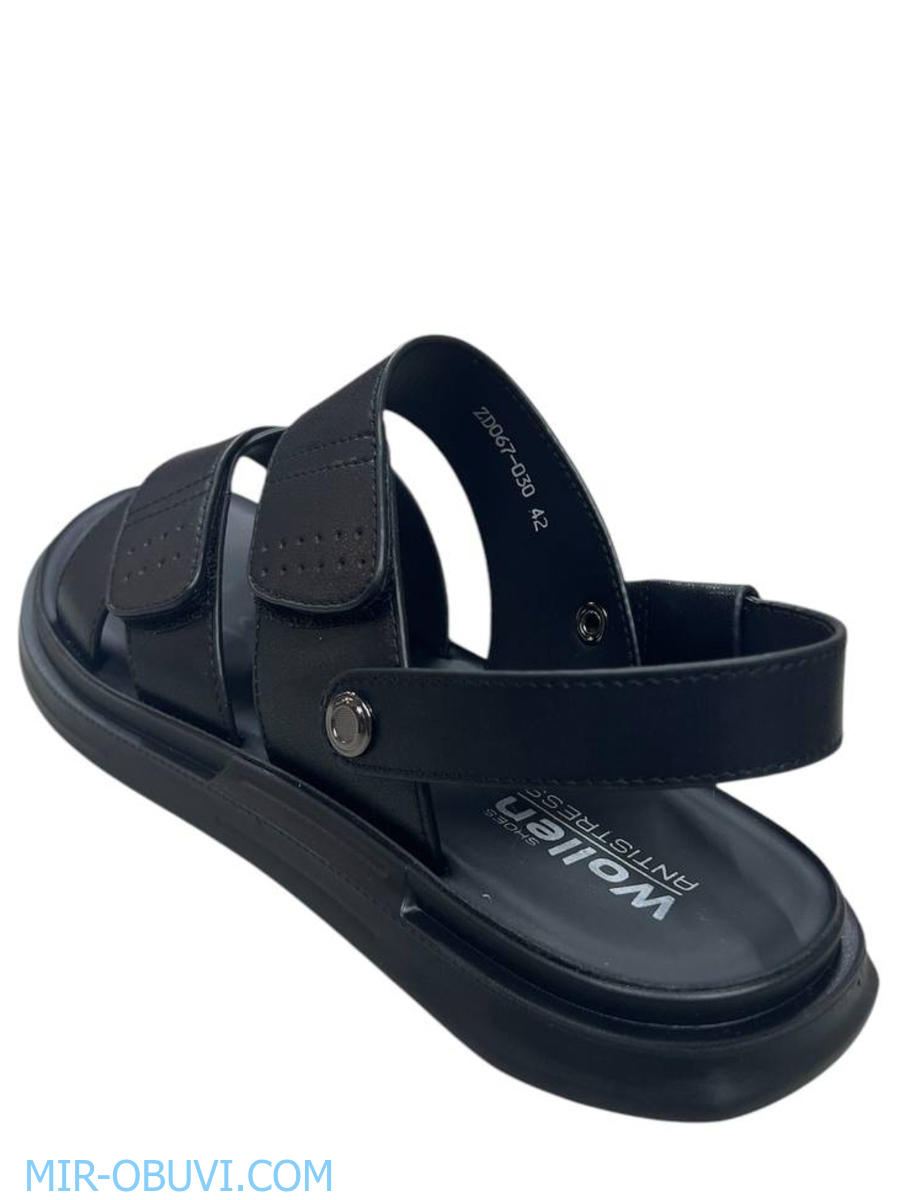 ������� ���� �����볿 Wollen. ��� 2.