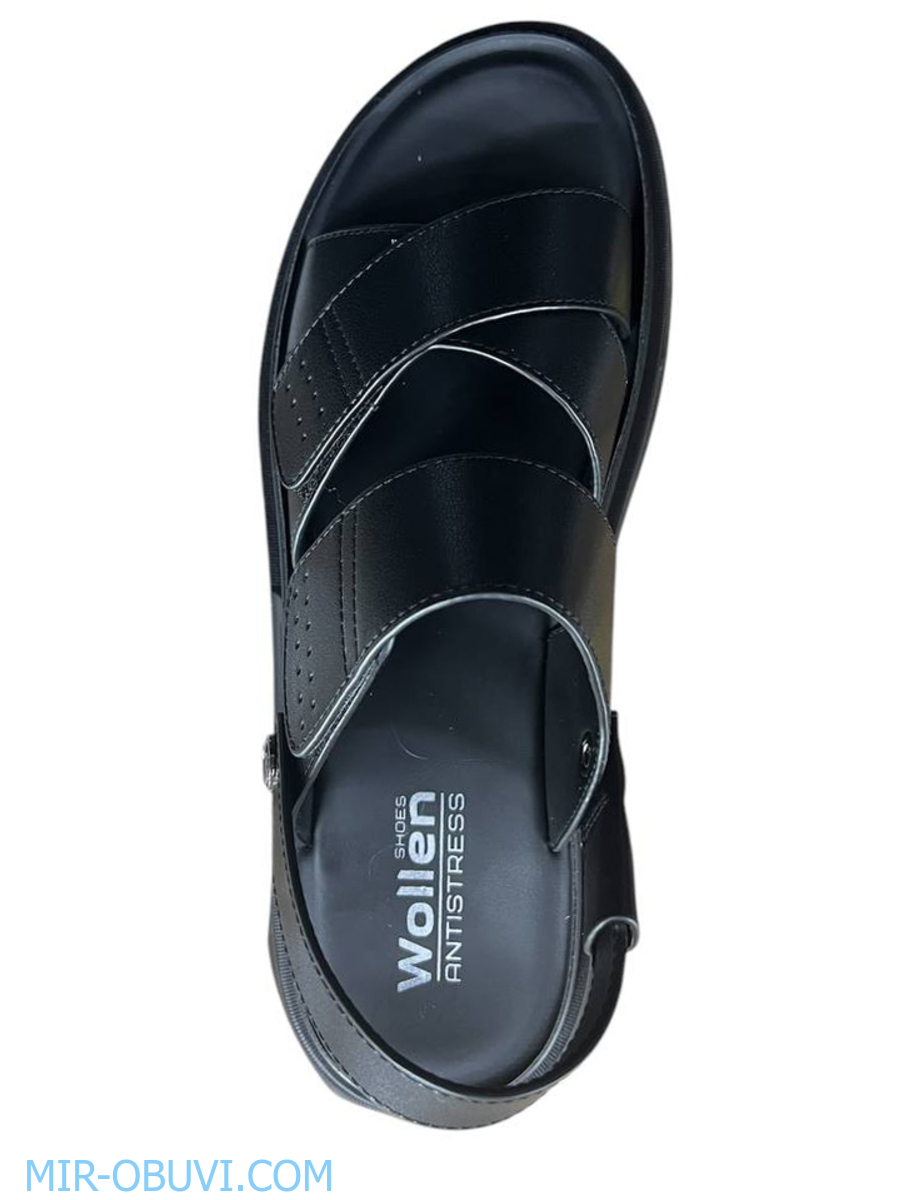 ������� ���� �����볿 Wollen. ��� 6.