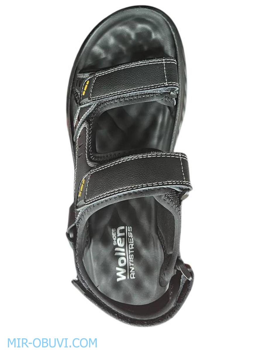 ������� ���� �����볿 Wollen. ��� 6.