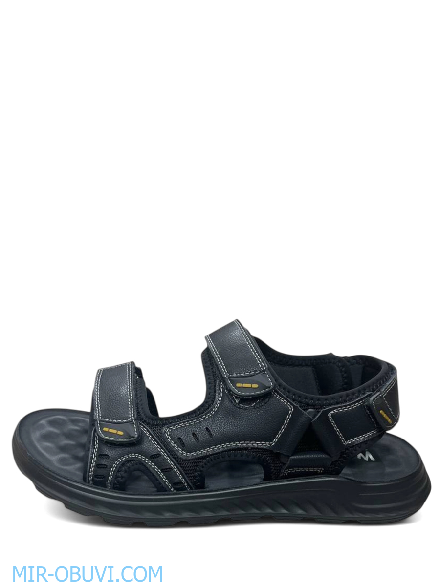 ������� ���� �����볿 Wollen. ��� 8.