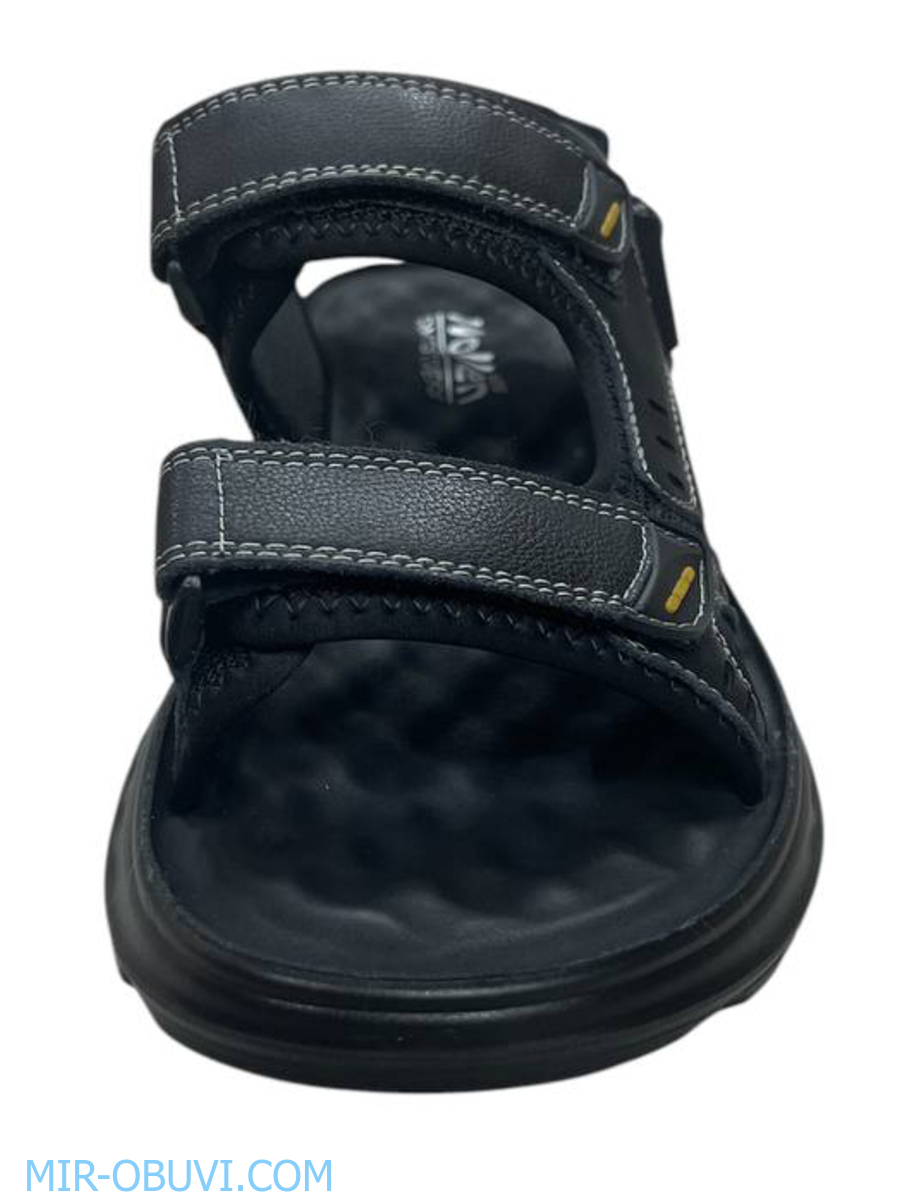 ������� ���� �����볿 Wollen. ��� 9.