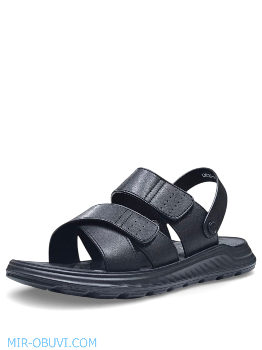 ������� ���� �����볿 Wollen. ��� 3.