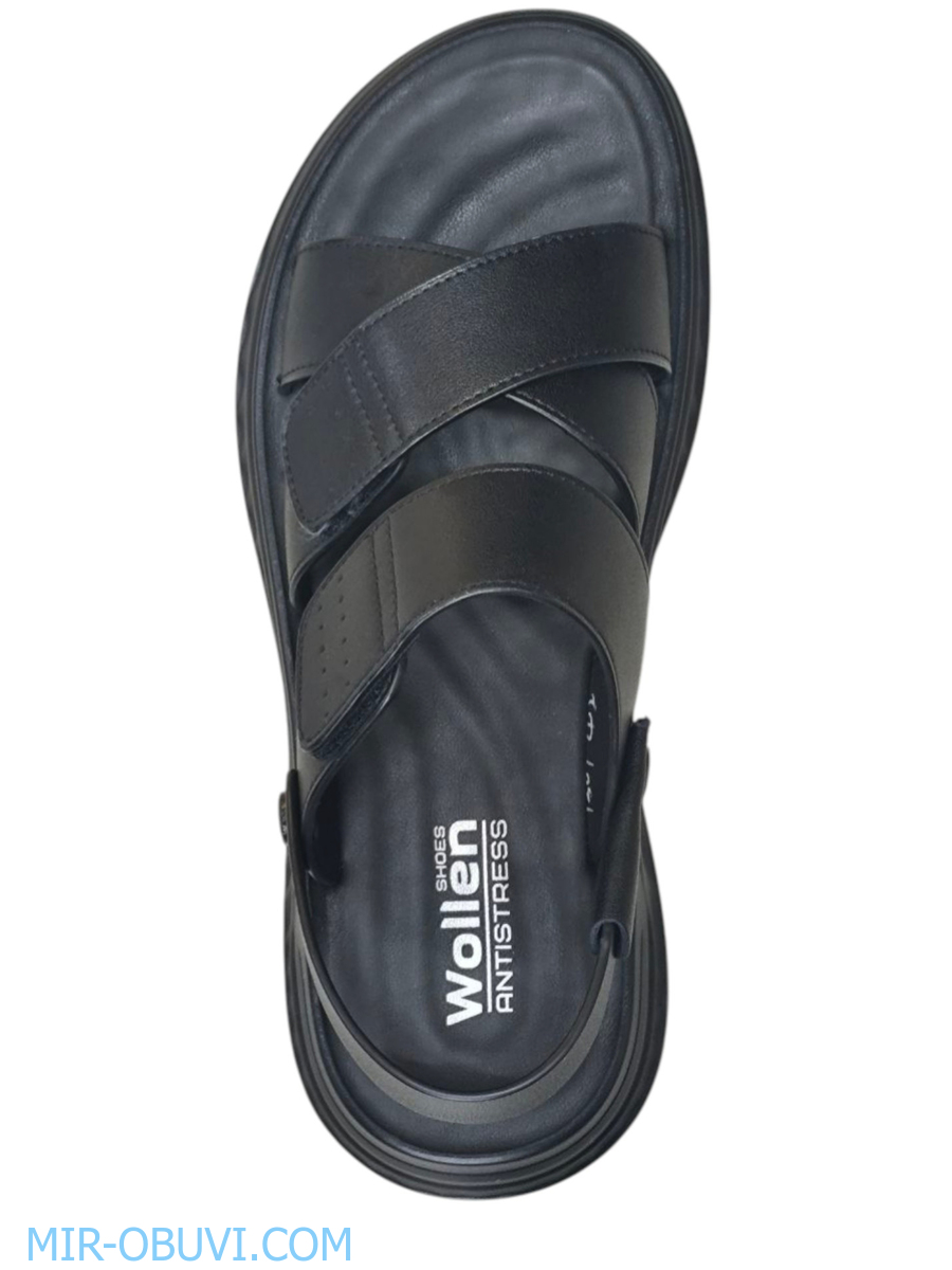 ������� ���� �����볿 Wollen. ��� 6.