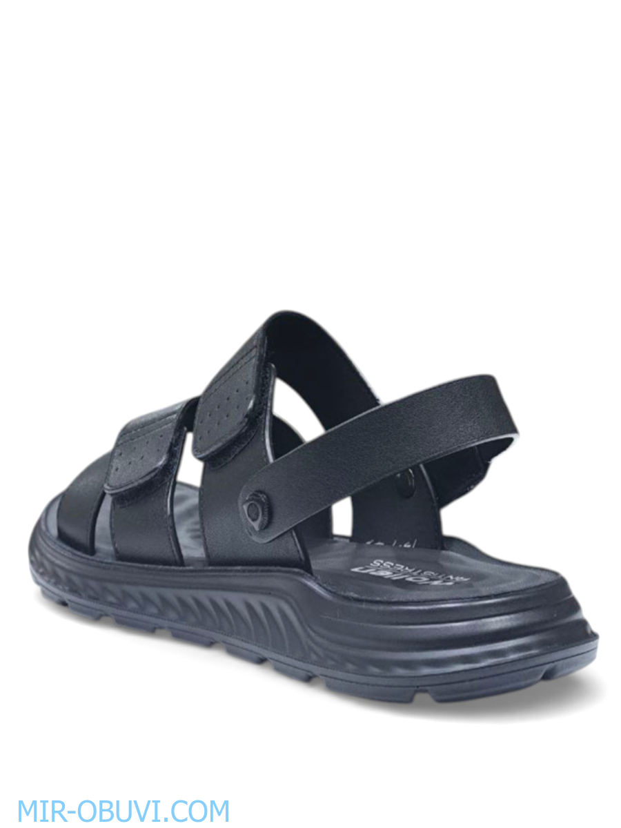 ������� ���� �����볿 Wollen. ��� 10.