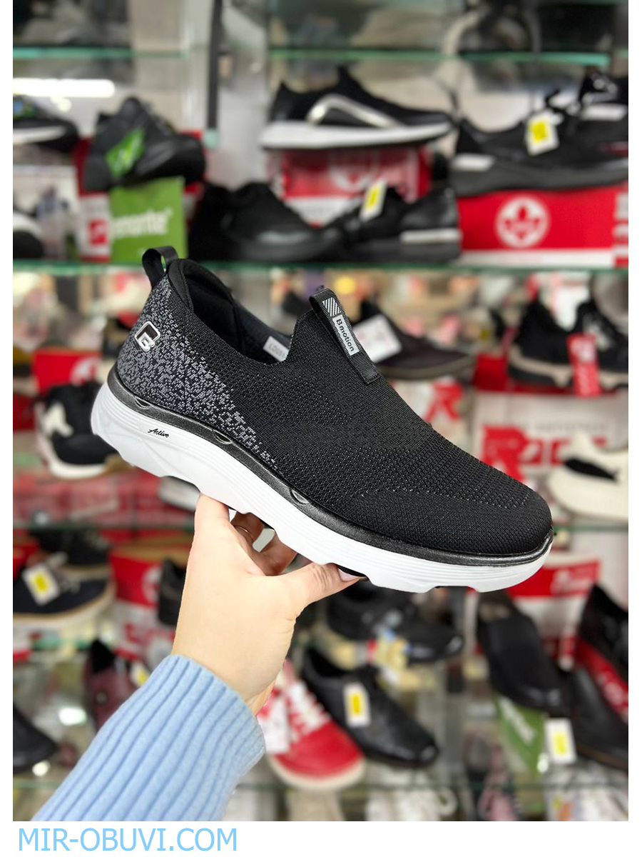 ������� ������� ������� Wollen. ��� 12.