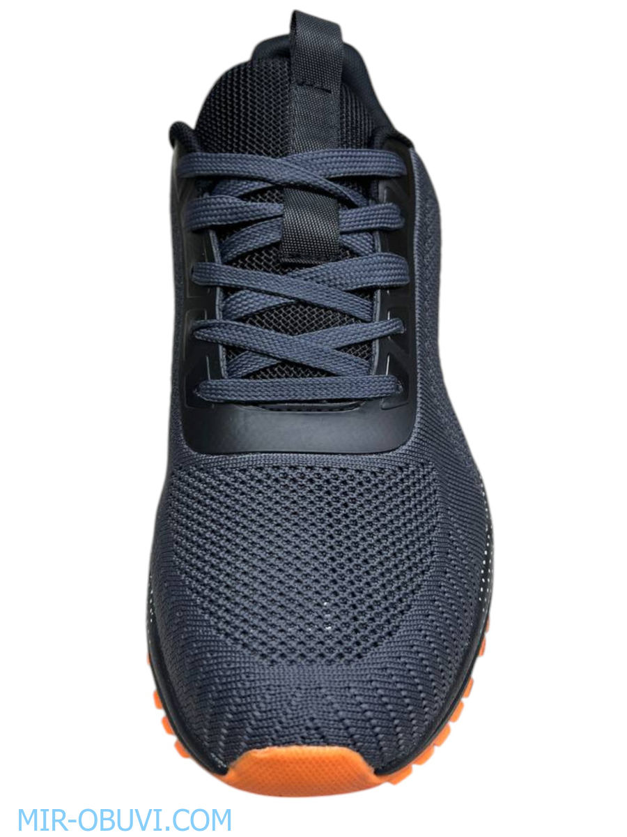 ������� ������� ������� Wollen. ��� 11.