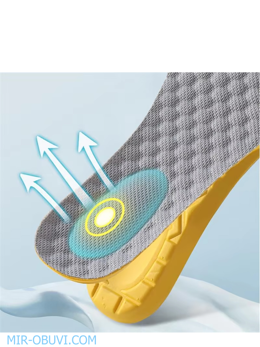 ������ ���������� � ���