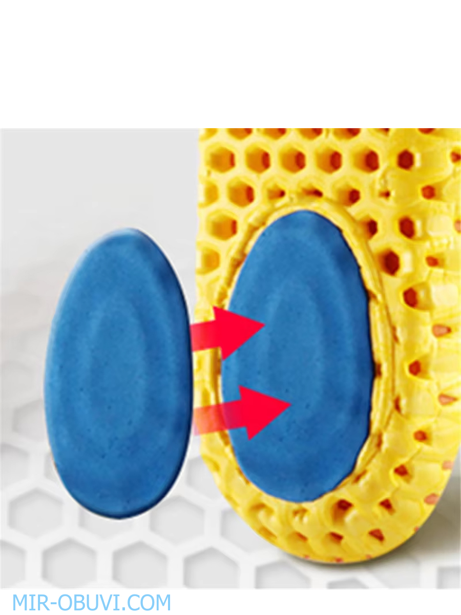 ������ ���������� � ���