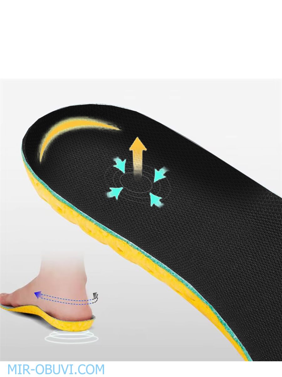 ������ ���������� � ���